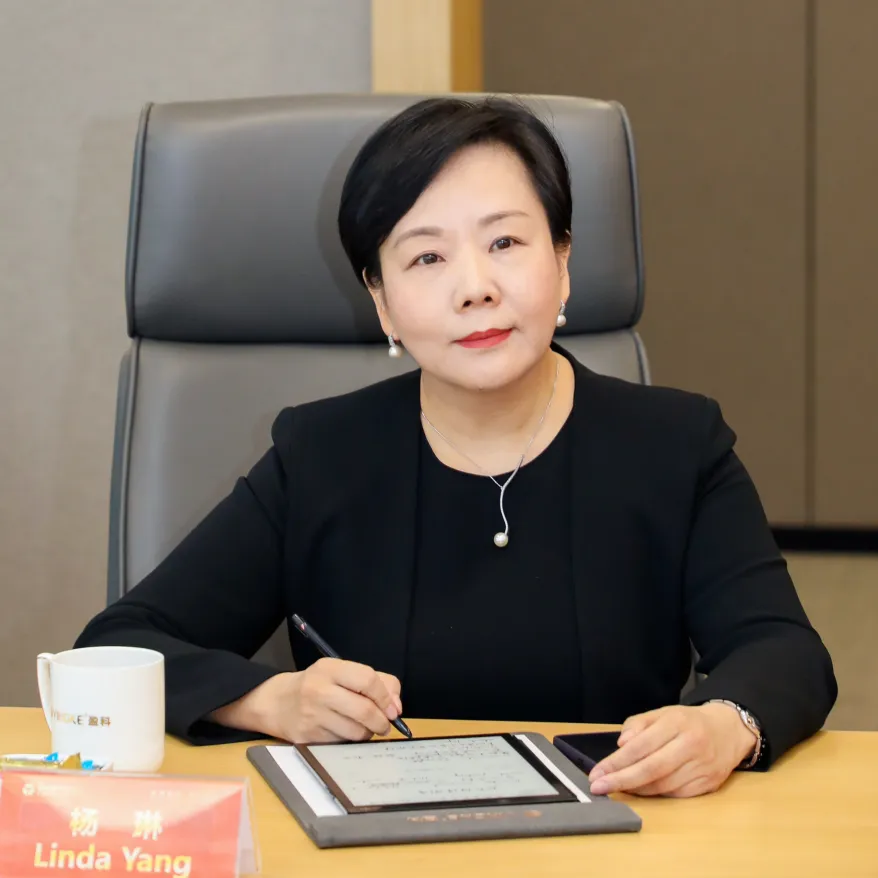 盈科律师事务所杨琳：“三个 100”之海外合作—— 从0到 1，摸着石头过河